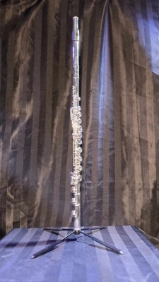 Store Special Product - Yamaha Band - YFL577HCT